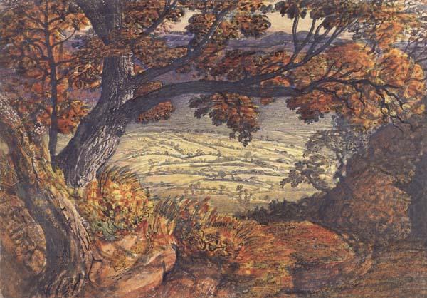 Samuel Palmer The Weald of Kent china oil painting image